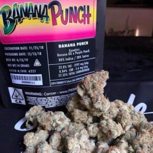 Banana Punch Jungle Boys