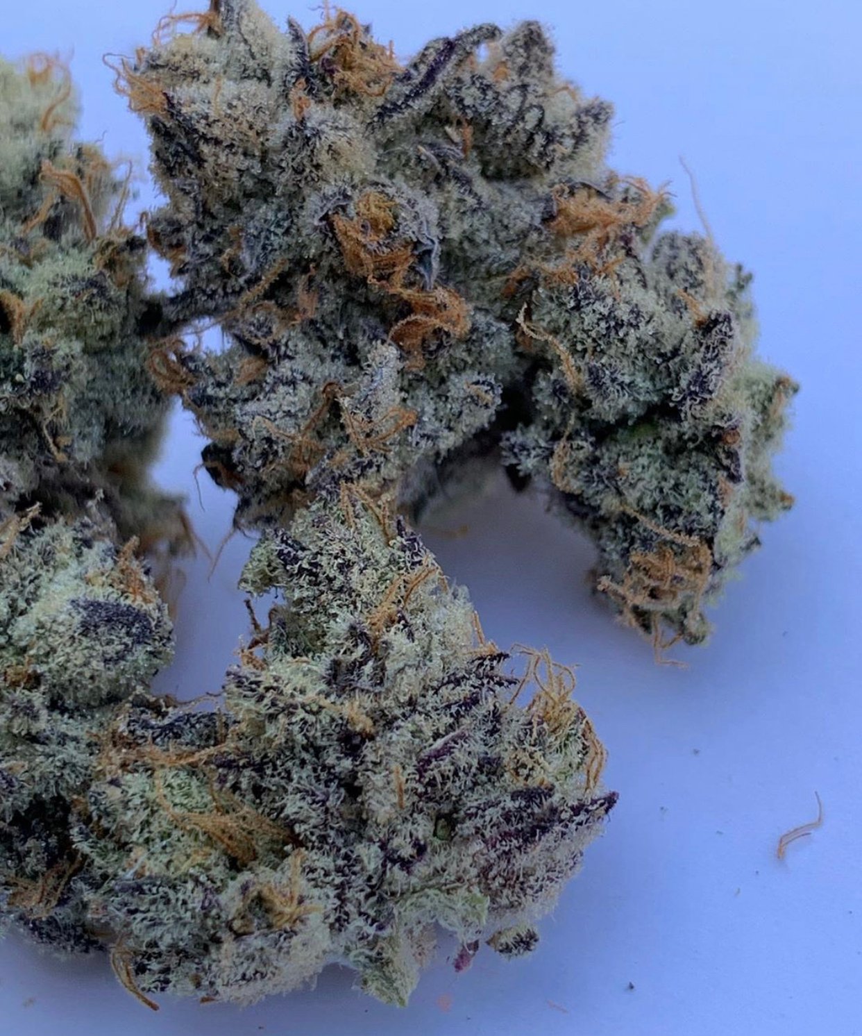 Blue Face