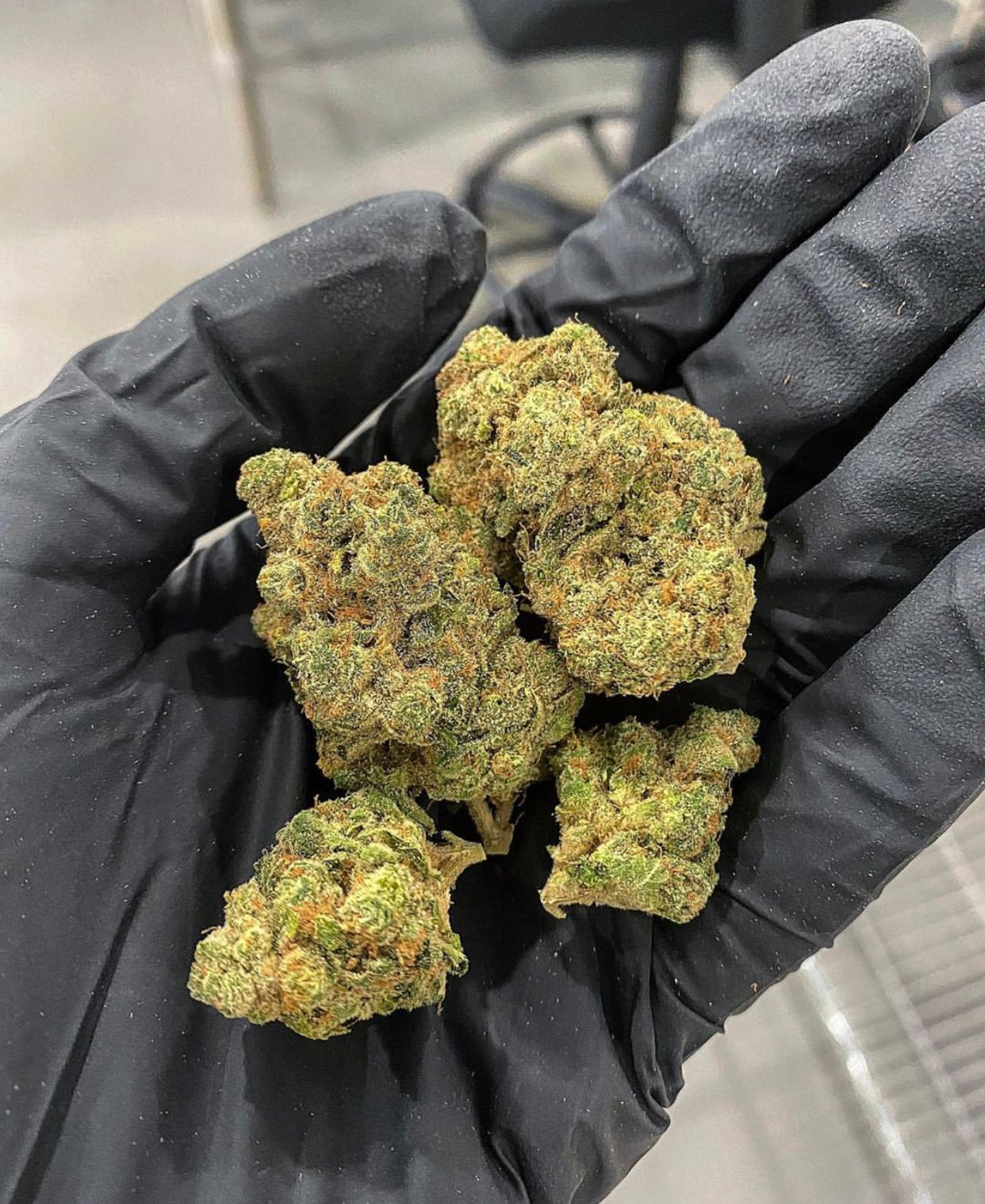 Zkittle Cake Mendo