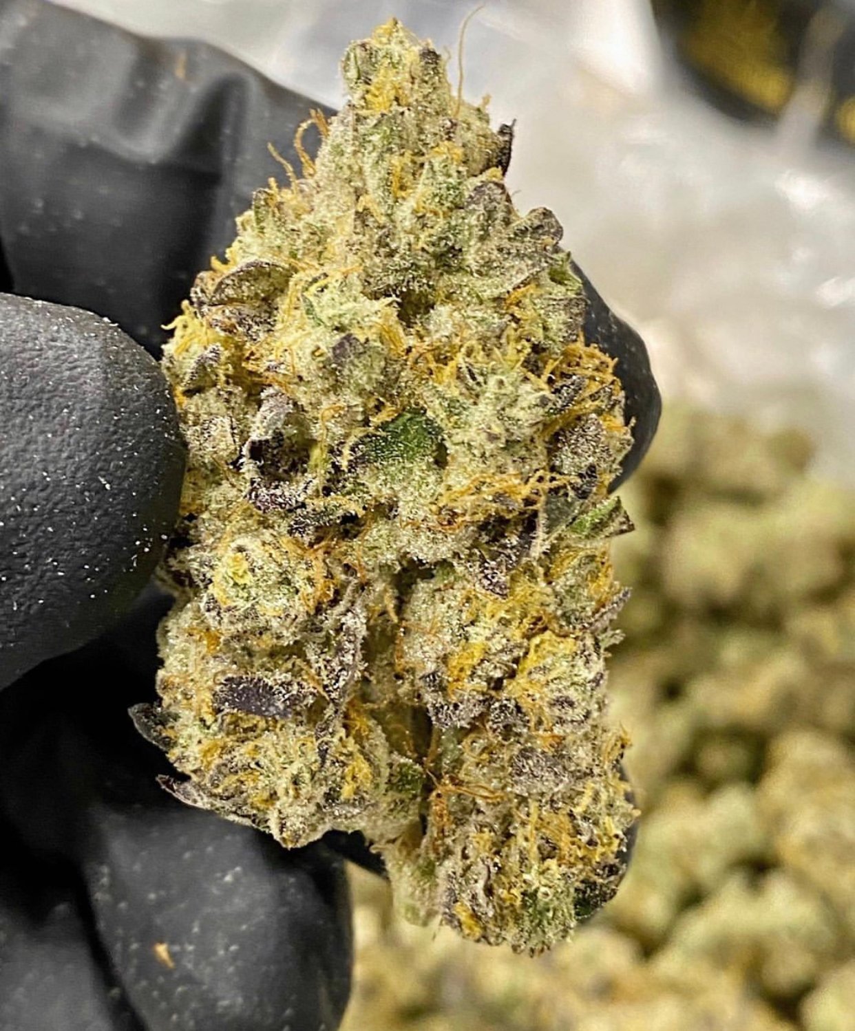 Lemon Sour Diesel