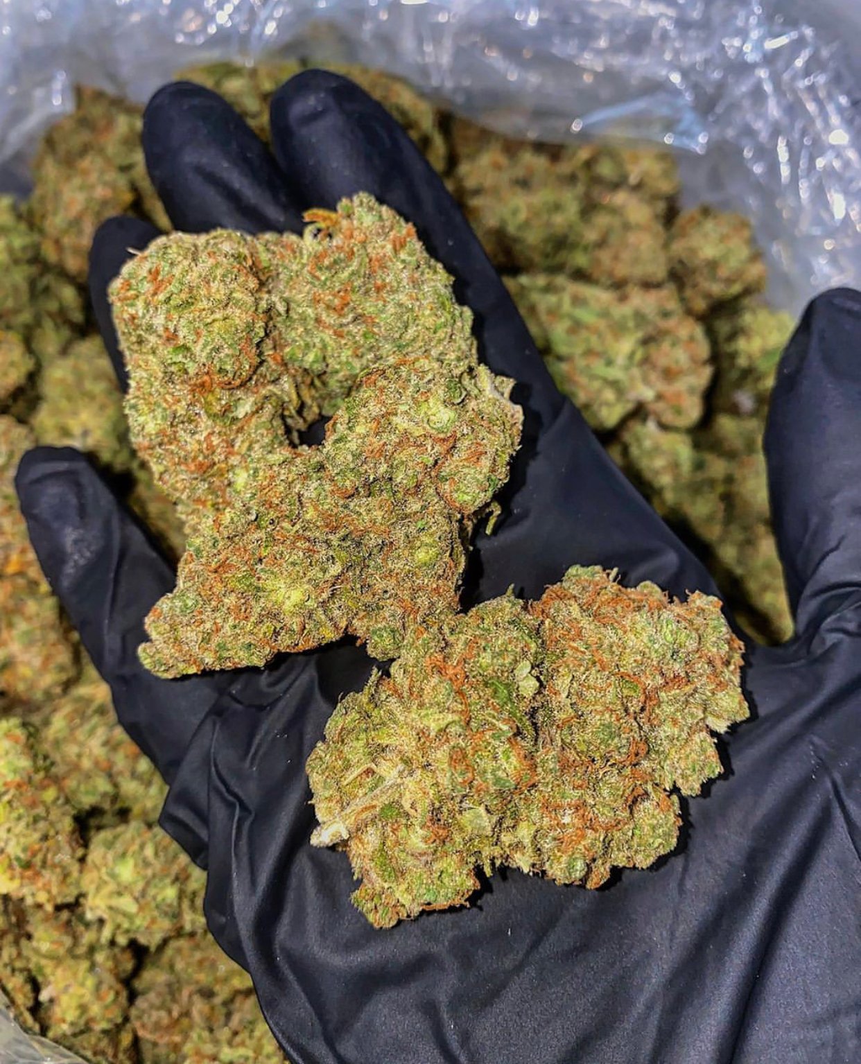 Church OG Famouski