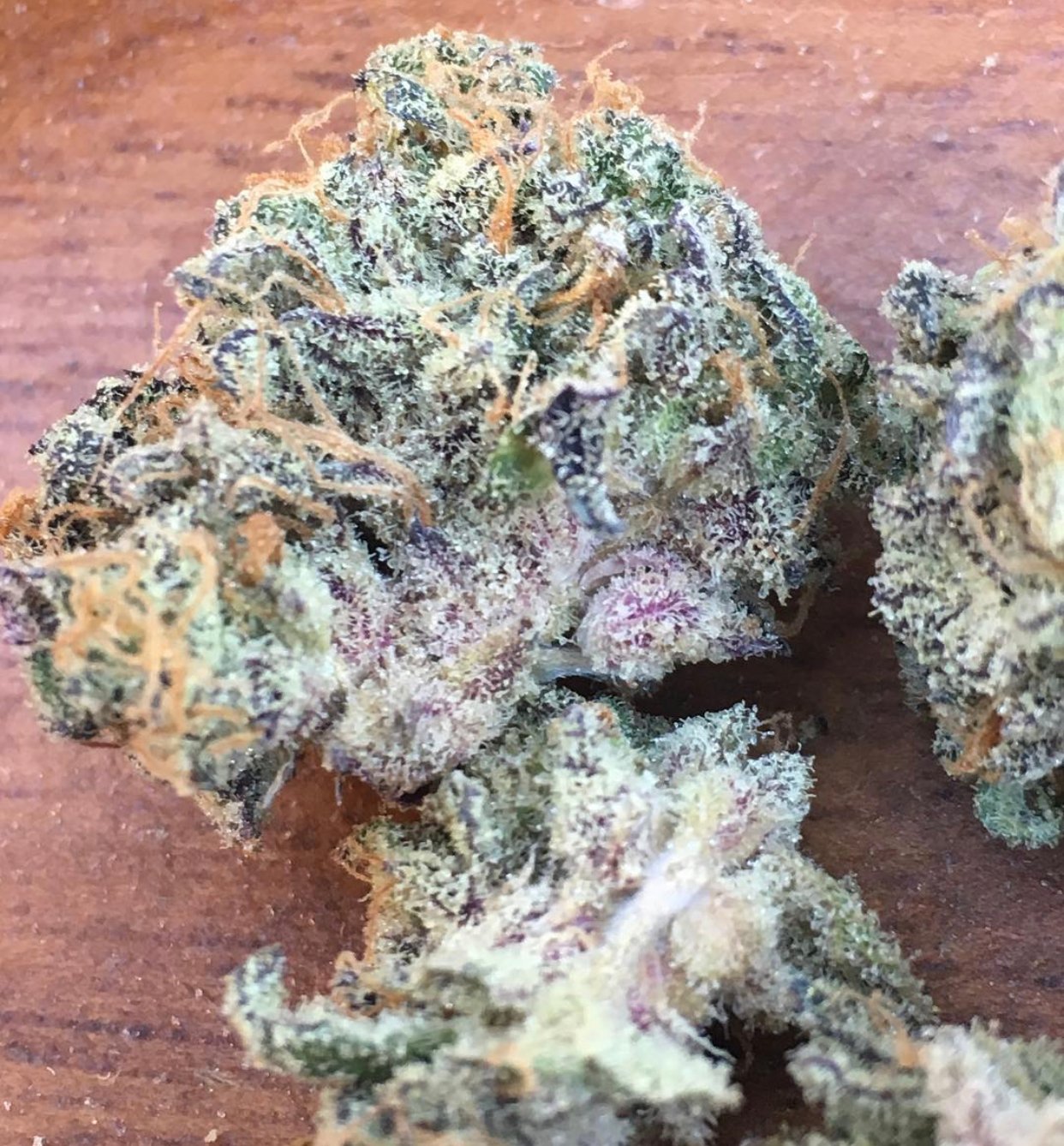 Sherbert x Country Club