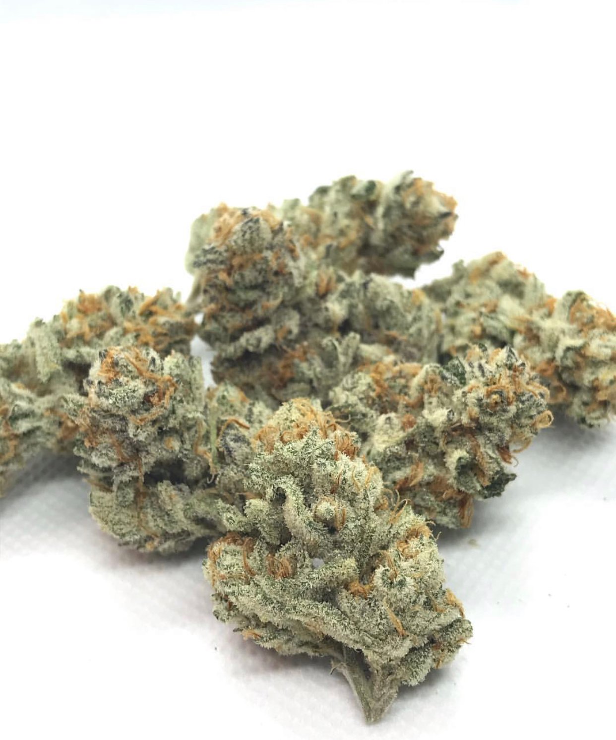Girl Scout Cookies