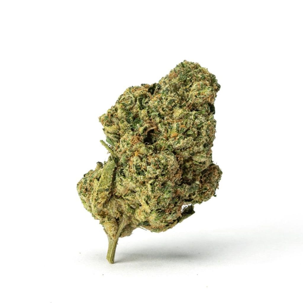 THCa Flower Mac 1