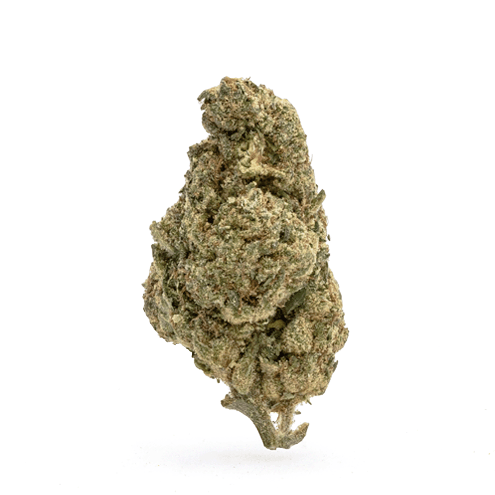 THCa Flower OG Kush